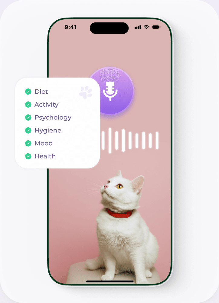 A phone recording a cat with the mic listening and a checklist of diet, activity, psychology, hygiene, mood and health